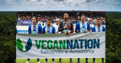 Startup israelense ajuda a salvar a Amazônia Startup israelense ajuda a salvar a Amazônia