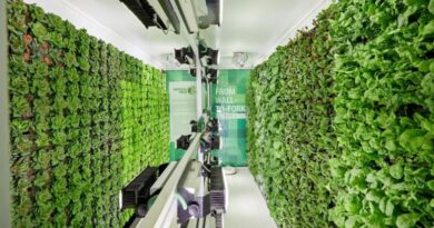Startup israelense cria fazendas verticais