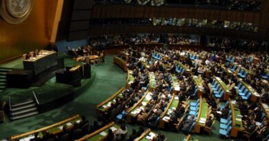 Novos parceiros votam contra Israel na ONU