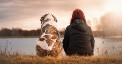 Canis Lupus Familiaris Canis Lupus Familiaris