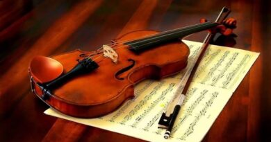 Violino stradivarius