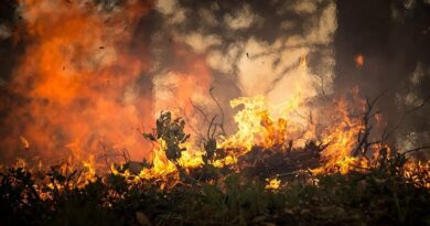 Incêndio debelado na área de Jerusalém