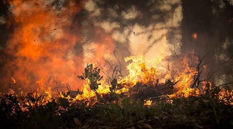 Incêndio debelado na área de Jerusalém