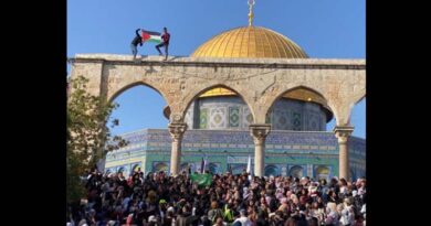 BDS se reúne em NY