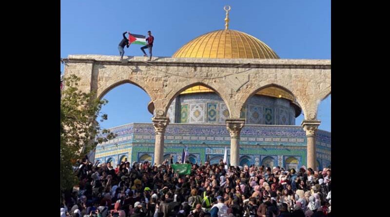 BDS se reúne em NY