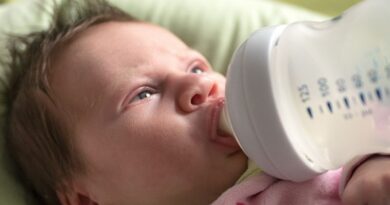 substituto do leite materno