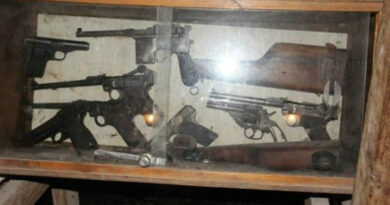 Armas são roubadas de museu