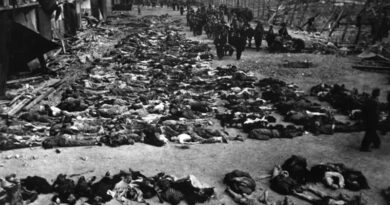 BDS posta foto do Holocausto