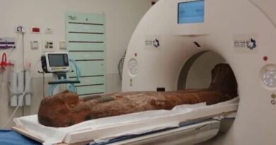 Sarcófagos egípcios submetidos à tomografia