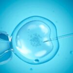 Ministério pode fechar clínica de fertilização