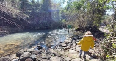 Reserva Natural Tel Dan