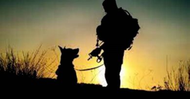 Projeto israelense transforma pets