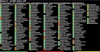 Resolução da ONU pede cessar-fogo