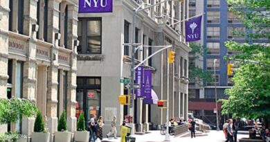 Universidade de Nova York