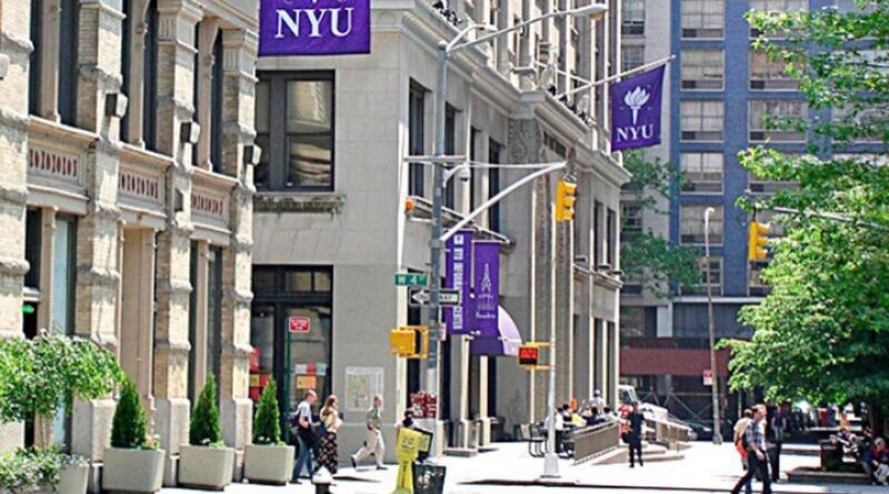 Universidade de Nova York
