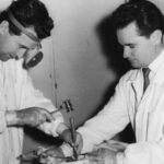 Uma escolha difícil