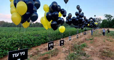 Protestos marcam nove meses