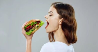 Meu reino por um burger