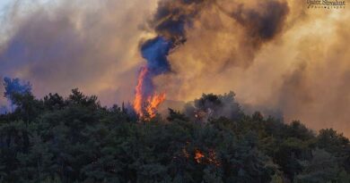 Após 30 horas, incêndios estão sob controle