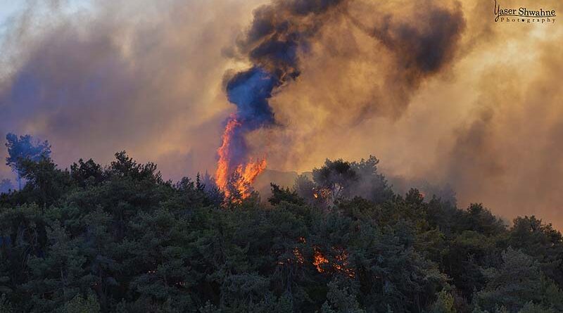 Após 30 horas, incêndios estão sob controle