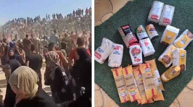 Tumultos marcam a distribuição de ajuda em Gaza
