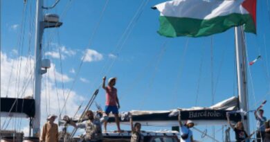 Flotilha se prepara para confronto com as FDI