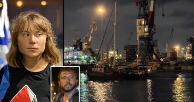 Ativistas da flotilha são deportados