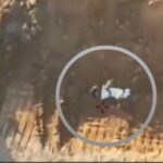 Hamas encena descoberta de corpo de refém