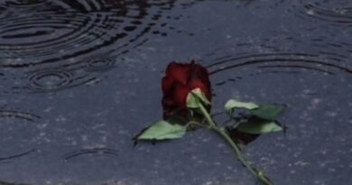 Como a população se levanta depois de uma guerra