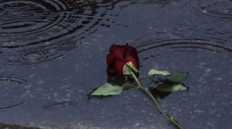 Como a população se levanta depois de uma guerra