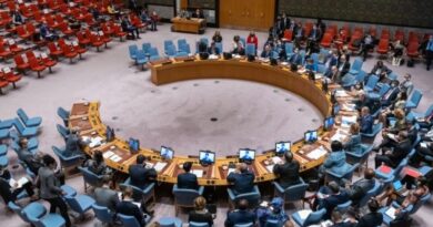 Especialistas da ONU silenciam sobre Irã