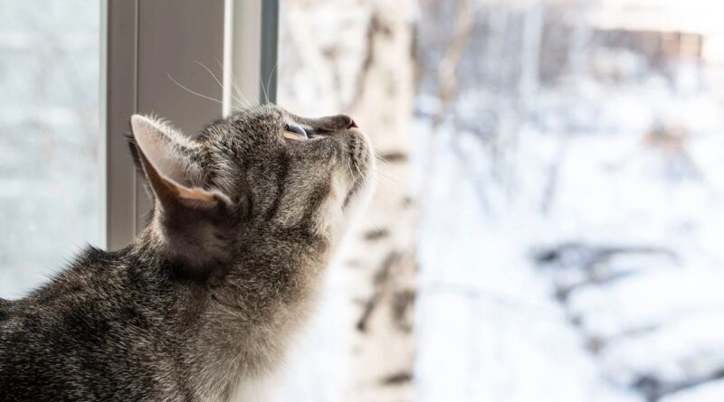 À espera do primeiro impacto