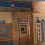 O dever de contribuir para o futuro