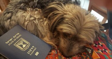 Levando o passaporte, alguns dólares, documentos locais, minha alma e o meu cachorro