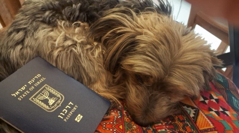 Levando o passaporte, alguns dólares, documentos locais, minha alma e o meu cachorro