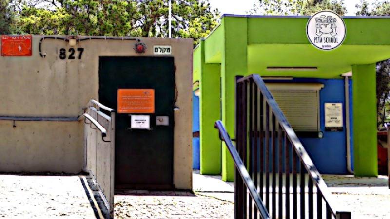 Área protegida: para onde correr