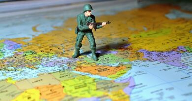 O Novo Oriente Médio